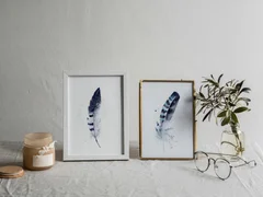 Image of a feather watercolor painting by Shayna Larsen, originals & prints available