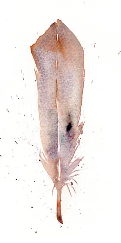 Image of a feather watercolor painting by Shayna Larsen, originals & prints available