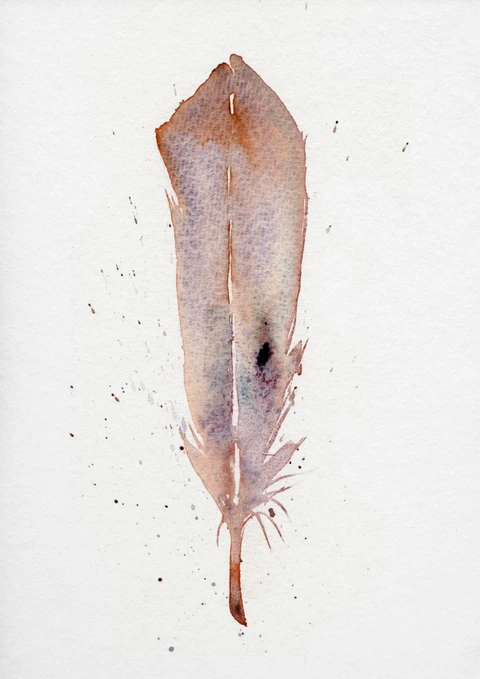 Image of a feather watercolor painting by Shayna Larsen, originals & prints available