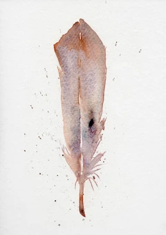 Image of a feather watercolor painting by Shayna Larsen, originals & prints available