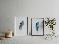 Image of a feather watercolor painting by Shayna Larsen, originals & prints available