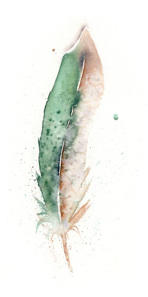 Image of a feather watercolor painting by Shayna Larsen, originals & prints available