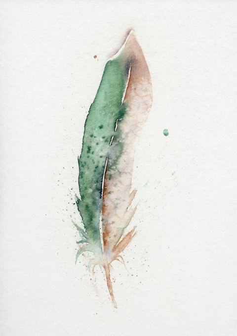 Image of a feather watercolor painting by Shayna Larsen, originals & prints available