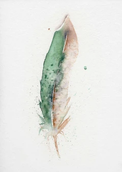 Image of a feather watercolor painting by Shayna Larsen, originals & prints available