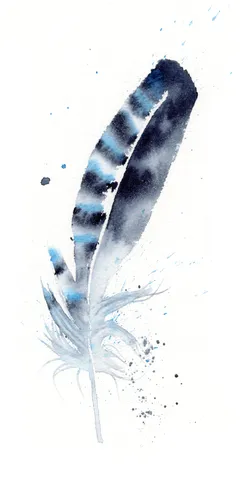 Image of a feather watercolor painting by Shayna Larsen, originals & prints available