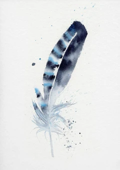 Image of a feather watercolor painting by Shayna Larsen, originals & prints available