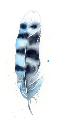 Image of a feather watercolor painting by Shayna Larsen, originals & prints available