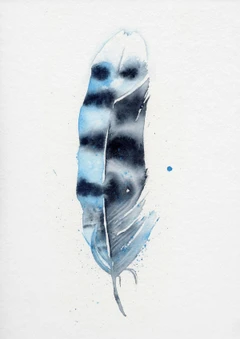 Image of a feather watercolor painting by Shayna Larsen, originals & prints available