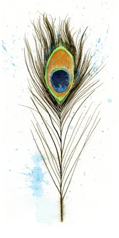 Image of a feather watercolor painting by Shayna Larsen, originals & prints available