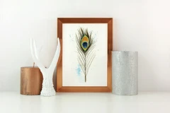 Image of a feather watercolor painting by Shayna Larsen, originals & prints available