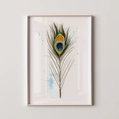 Image of a feather watercolor painting by Shayna Larsen, originals & prints available