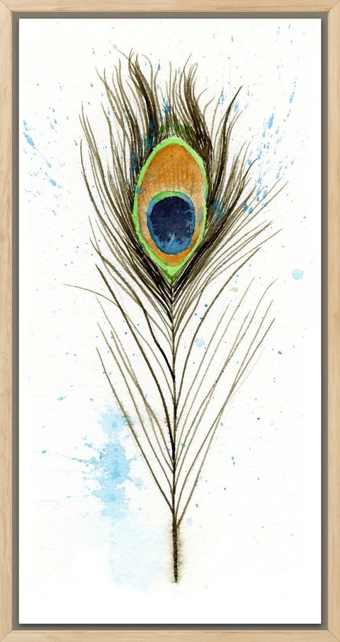 Image of a feather watercolor painting by Shayna Larsen, originals & prints available