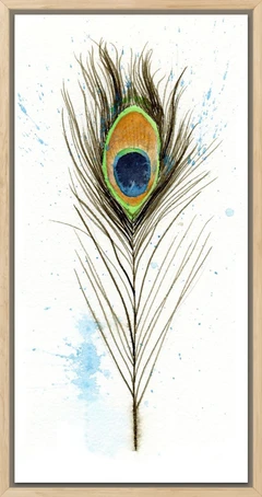 Image of a feather watercolor painting by Shayna Larsen, originals & prints available