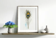 Image of a feather watercolor painting by Shayna Larsen, originals & prints available