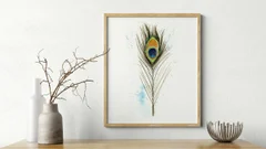 Image of a feather watercolor painting by Shayna Larsen, originals & prints available