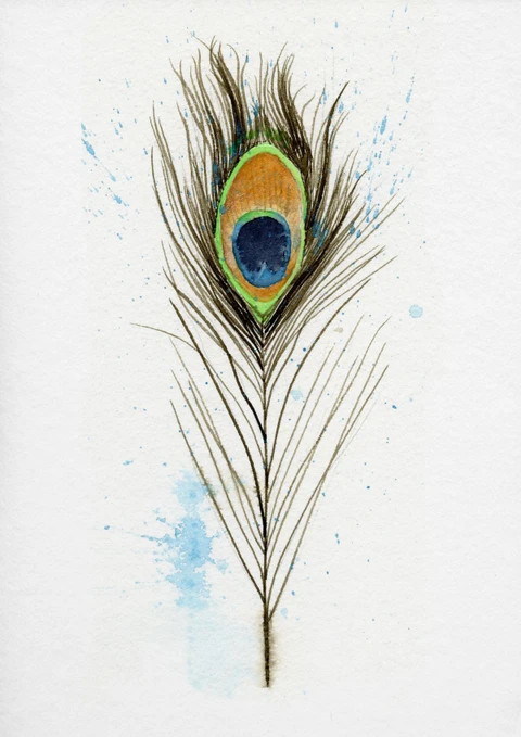 Image of a feather watercolor painting by Shayna Larsen, originals & prints available