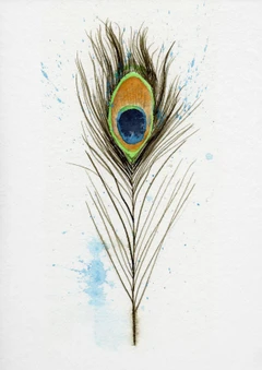 Image of a feather watercolor painting by Shayna Larsen, originals & prints available