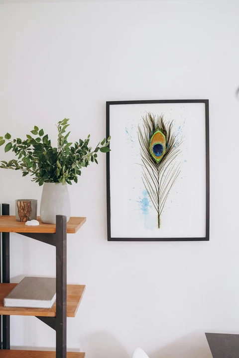 Image of a feather watercolor painting by Shayna Larsen, originals & prints available