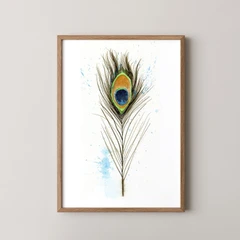 Image of a feather watercolor painting by Shayna Larsen, originals & prints available