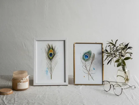 Image of a feather watercolor painting by Shayna Larsen, originals & prints available