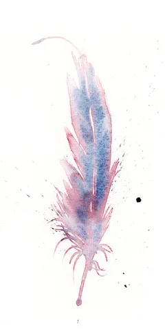 Image of a feather watercolor painting by Shayna Larsen, originals & prints available