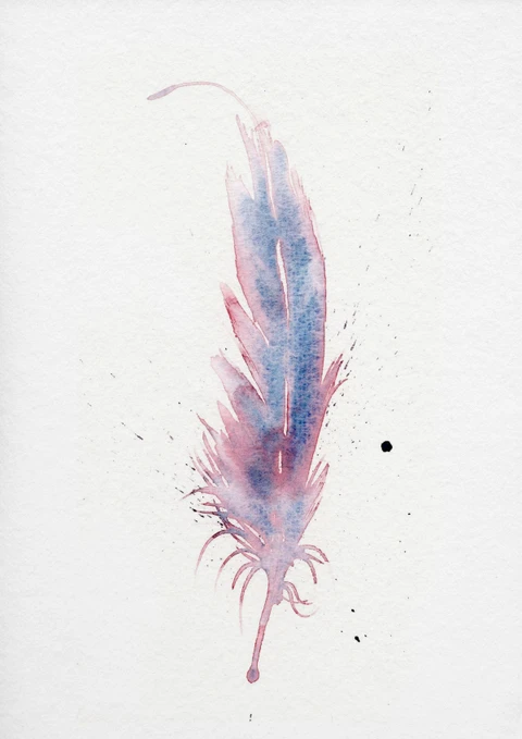Image of a feather watercolor painting by Shayna Larsen, originals & prints available