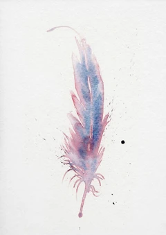 Image of a feather watercolor painting by Shayna Larsen, originals & prints available