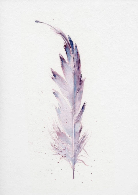 Image of a feather watercolor painting by Shayna Larsen, originals & prints available