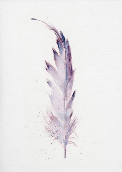 Image of a feather watercolor painting by Shayna Larsen, originals & prints available