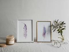 Image of a feather watercolor painting by Shayna Larsen, originals & prints available