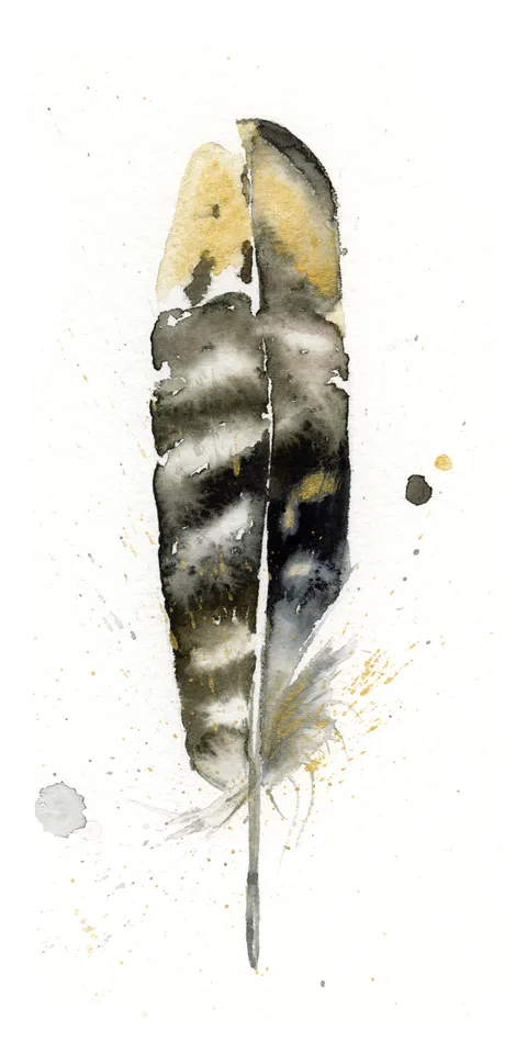 Image of a feather watercolor painting by Shayna Larsen, originals & prints available