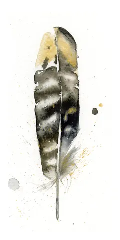 Image of a feather watercolor painting by Shayna Larsen, originals & prints available