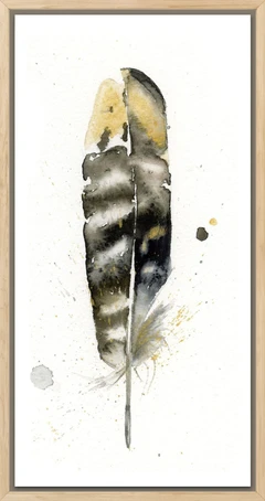 Image of a feather watercolor painting by Shayna Larsen, originals & prints available
