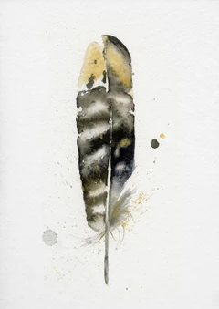 Image of a feather watercolor painting by Shayna Larsen, originals & prints available