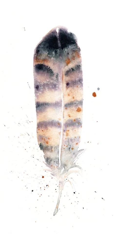 Image of a feather watercolor painting by Shayna Larsen, originals & prints available