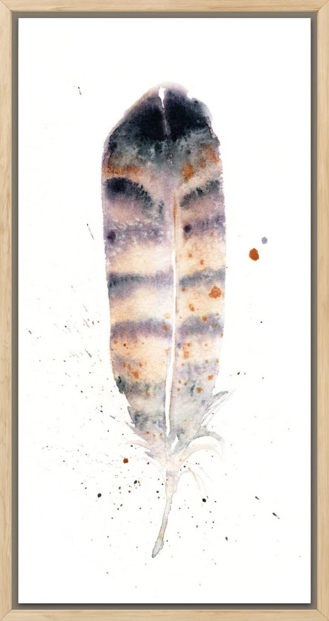 Image of a feather watercolor painting by Shayna Larsen, originals & prints available
