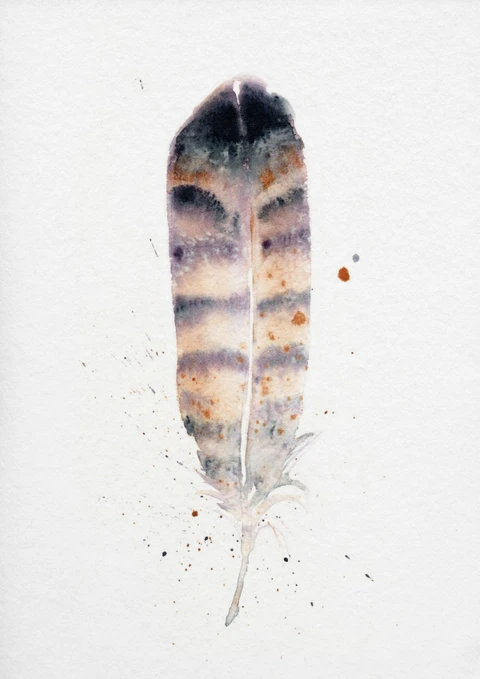 Image of a feather watercolor painting by Shayna Larsen, originals & prints available