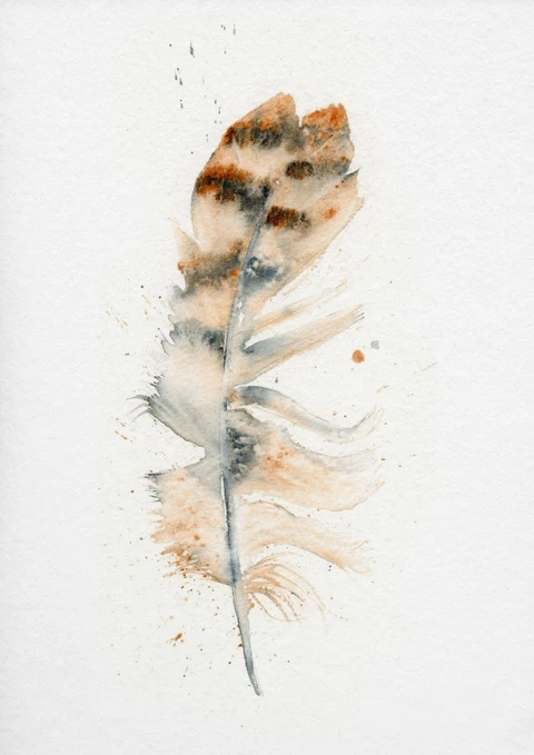 Image of a feather watercolor painting by Shayna Larsen, originals & prints available