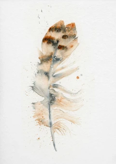 Image of a feather watercolor painting by Shayna Larsen, originals & prints available