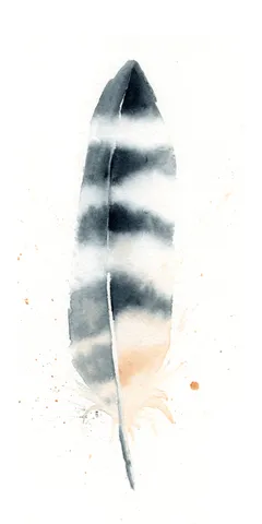 Image of a feather watercolor painting by Shayna Larsen, originals & prints available