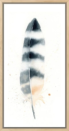 Image of a feather watercolor painting by Shayna Larsen, originals & prints available