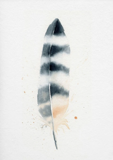 Image of a feather watercolor painting by Shayna Larsen, originals & prints available