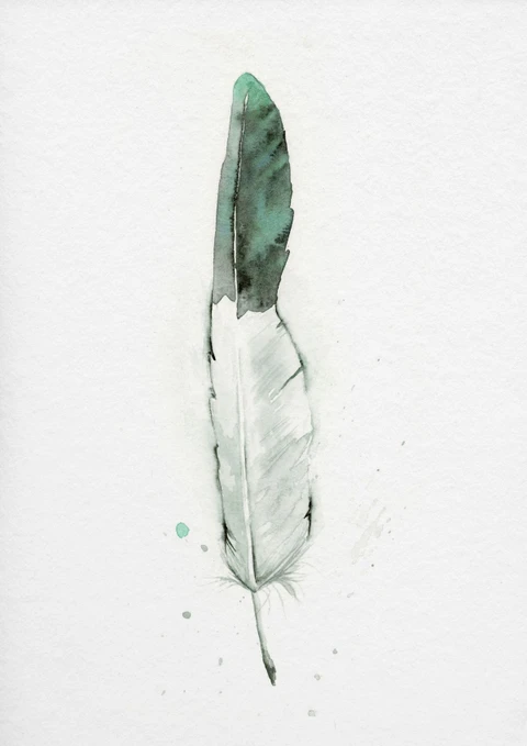 Image of a feather watercolor painting by Shayna Larsen, originals & prints available