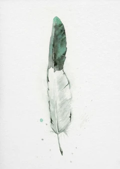 Image of a feather watercolor painting by Shayna Larsen, originals & prints available