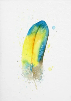 Image of a feather watercolor painting by Shayna Larsen, originals & prints available