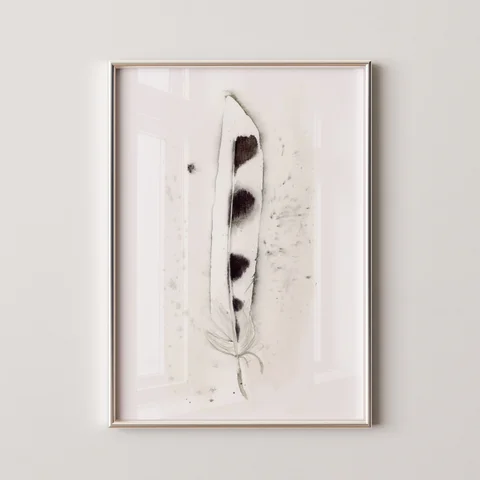 Image of a feather watercolor painting by Shayna Larsen, originals & prints available