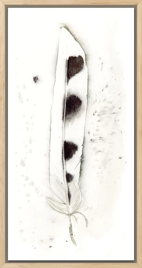 Image of a feather watercolor painting by Shayna Larsen, originals & prints available