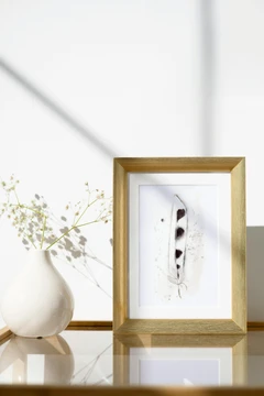 Image of a feather watercolor painting by Shayna Larsen, originals & prints available
