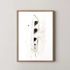 Image of a feather watercolor painting by Shayna Larsen, originals & prints available