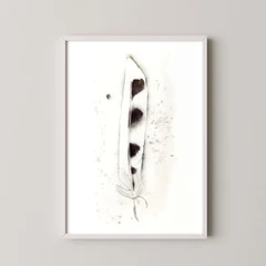 Image of a feather watercolor painting by Shayna Larsen, originals & prints available